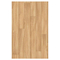 ΠΛΑΣΤΙΚΟ ΔΑΠΕΔΟ EURO 1200 060L GOLDEN OAK 4M